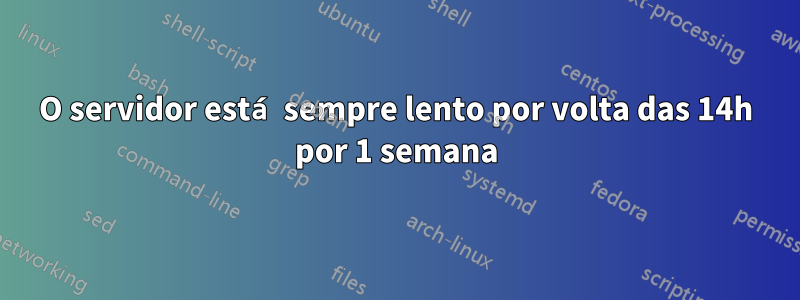 O servidor está sempre lento por volta das 14h por 1 semana