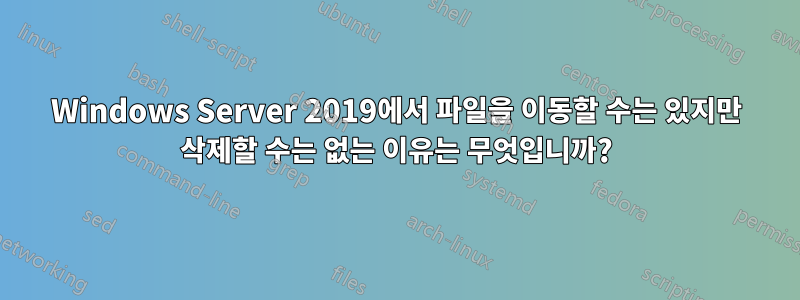 Windows Server 2019에서 파일을 이동할 수는 있지만 삭제할 수는 없는 이유는 무엇입니까?