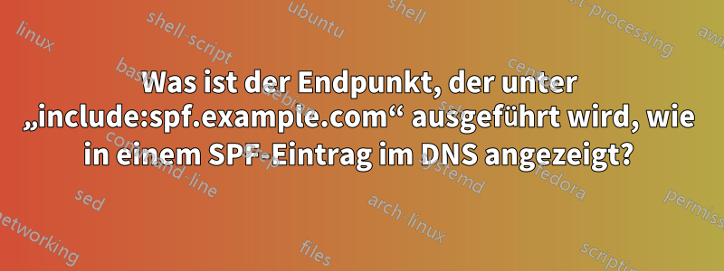 Was ist der Endpunkt, der unter „include:spf.example.com“ ausgeführt wird, wie in einem SPF-Eintrag im DNS angezeigt?