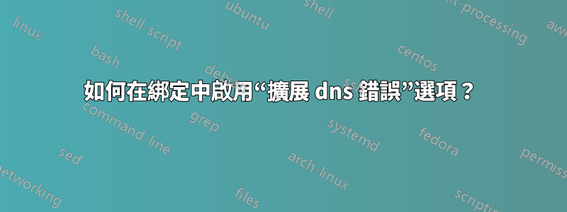 如何在綁定中啟用“擴展 dns 錯誤”選項？