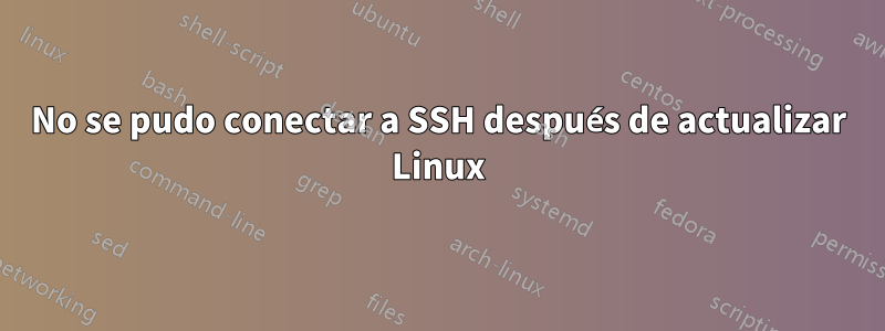 No se pudo conectar a SSH después de actualizar Linux