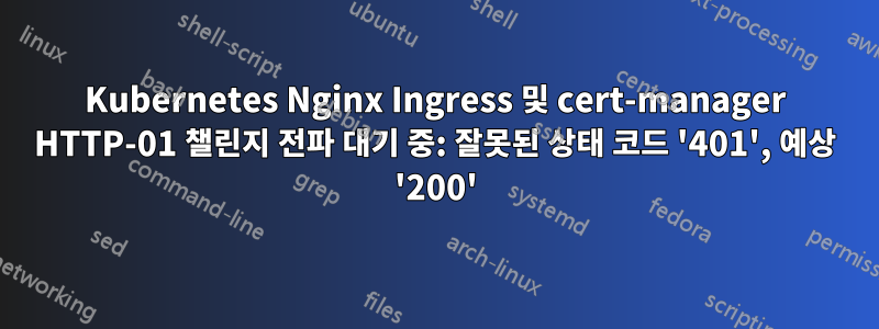 Kubernetes Nginx Ingress 및 cert-manager HTTP-01 챌린지 전파 대기 중: 잘못된 상태 코드 '401', 예상 '200'