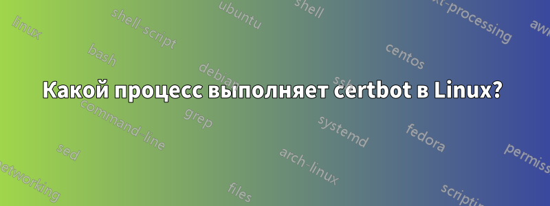 Какой процесс выполняет certbot в Linux?