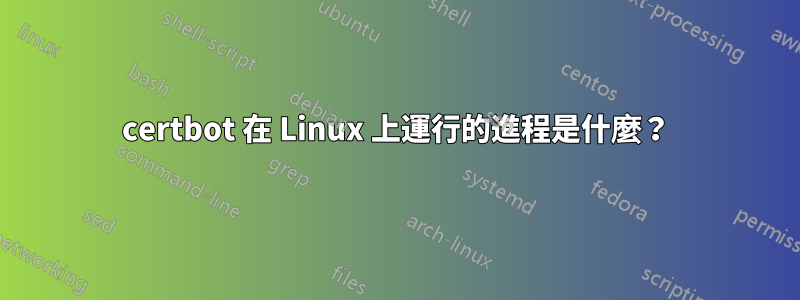 certbot 在 Linux 上運行的進程是什麼？