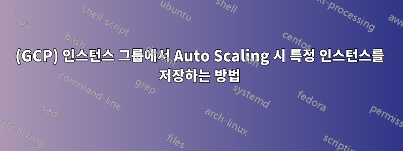 (GCP) 인스턴스 그룹에서 Auto Scaling 시 특정 인스턴스를 저장하는 방법