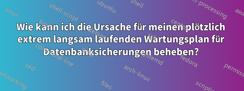 Wie kann ich die Ursache für meinen plötzlich extrem langsam laufenden Wartungsplan für Datenbanksicherungen beheben?