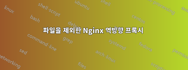 파일을 제외한 Nginx 역방향 프록시