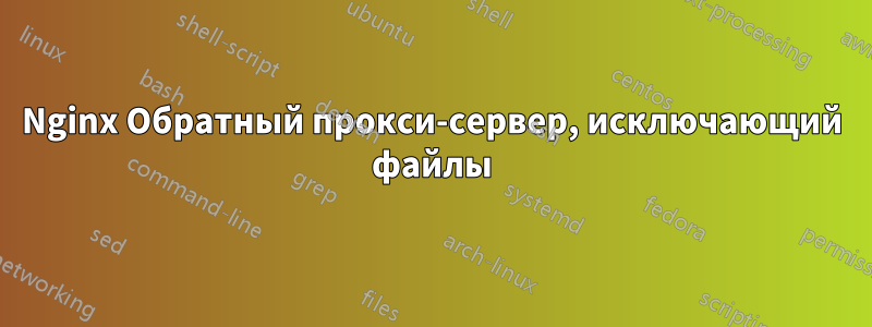 Nginx Обратный прокси-сервер, исключающий файлы