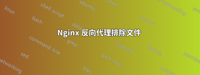 Nginx 反向代理排除文件