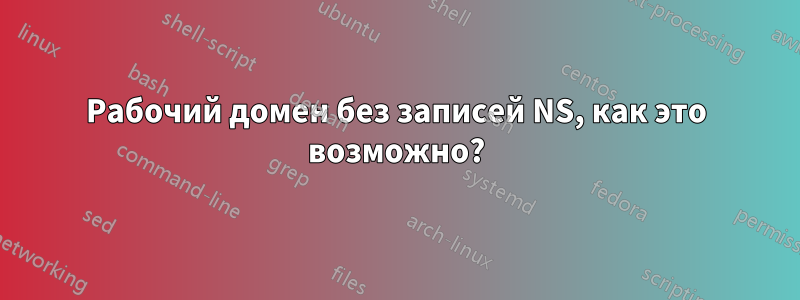 Рабочий домен без записей NS, как это возможно?