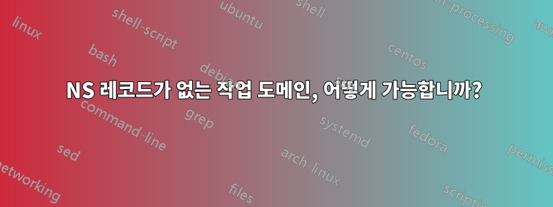 NS 레코드가 없는 작업 도메인, 어떻게 가능합니까?