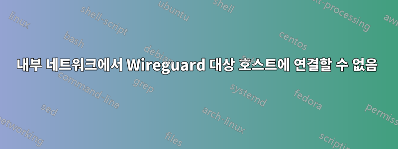 내부 네트워크에서 Wireguard 대상 호스트에 연결할 수 없음