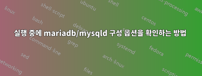 실행 중에 mariadb/mysqld 구성 옵션을 확인하는 방법