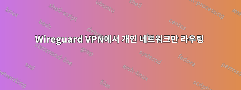 Wireguard VPN에서 개인 네트워크만 라우팅