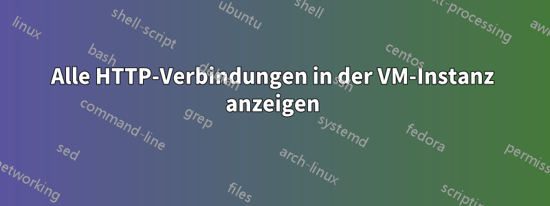 Alle HTTP-Verbindungen in der VM-Instanz anzeigen