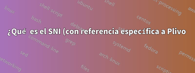 ¿Qué es el SNI (con referencia específica a Plivo)?