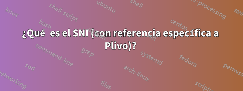 ¿Qué es el SNI (con referencia específica a Plivo)?