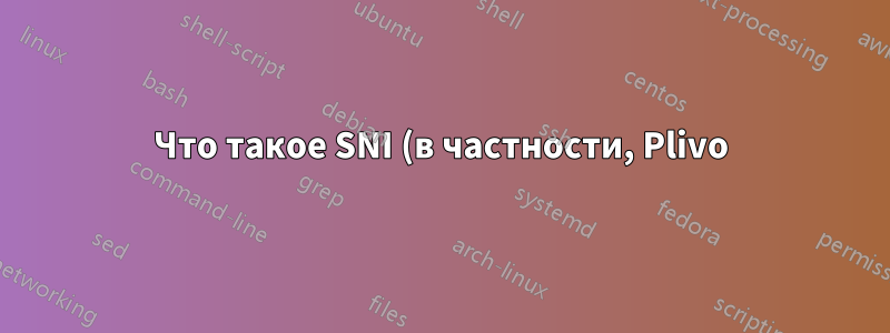 Что такое SNI (в частности, Plivo)