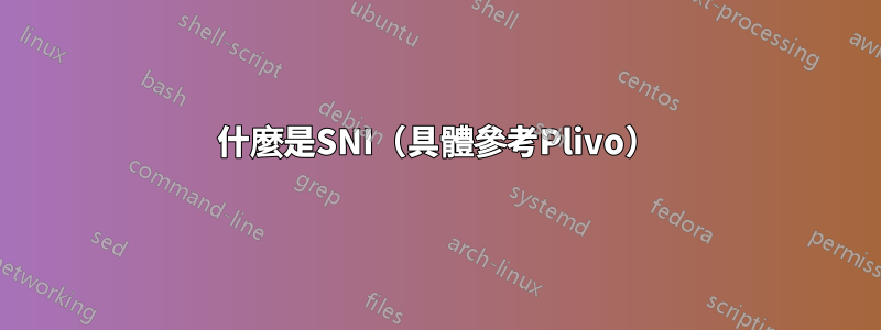 什麼是SNI（具體參考Plivo）