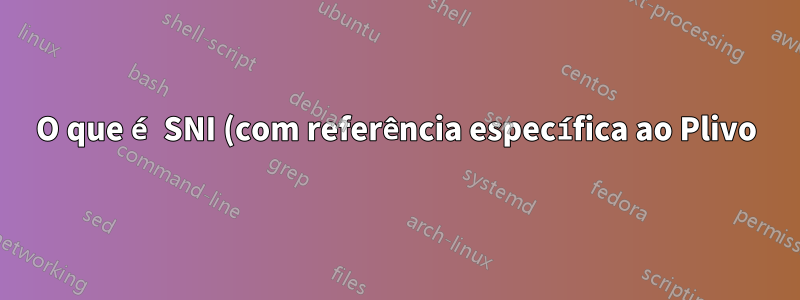 O que é SNI (com referência específica ao Plivo)
