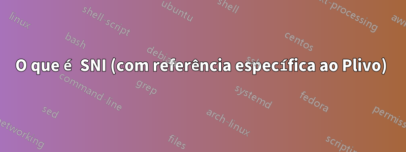 O que é SNI (com referência específica ao Plivo)