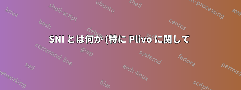 SNI とは何か (特に Plivo に関して)