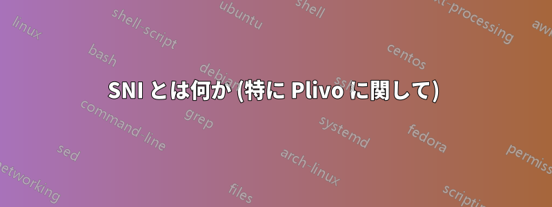 SNI とは何か (特に Plivo に関して)