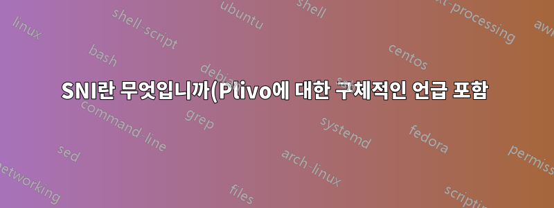 SNI란 무엇입니까(Plivo에 대한 구체적인 언급 포함)
