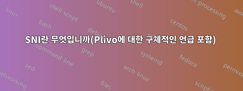 SNI란 무엇입니까(Plivo에 대한 구체적인 언급 포함)