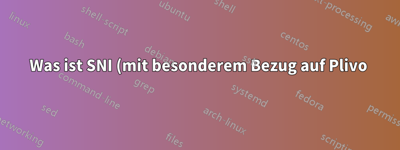 Was ist SNI (mit besonderem Bezug auf Plivo)