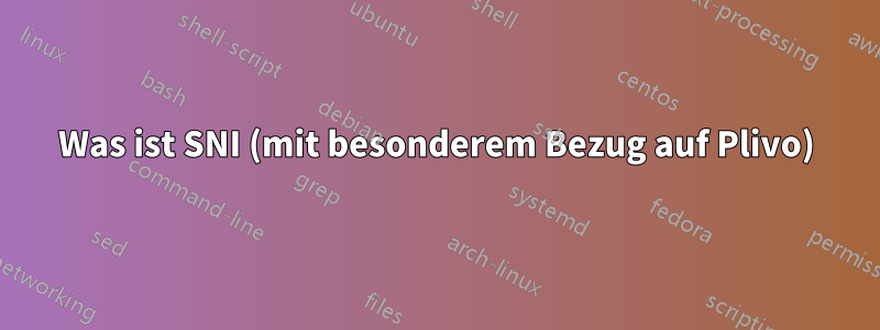 Was ist SNI (mit besonderem Bezug auf Plivo)