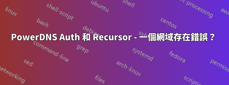 PowerDNS Auth 和 Recursor - 一個網域存在錯誤？