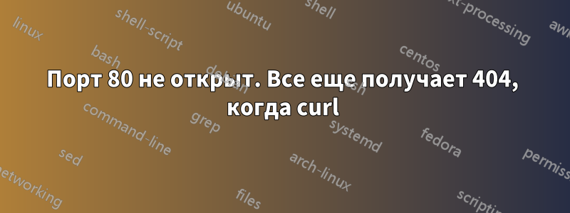 Порт 80 не открыт. Все еще получает 404, когда curl