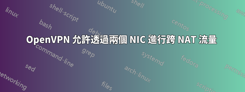 OpenVPN 允許透過兩個 NIC 進行跨 NAT 流量