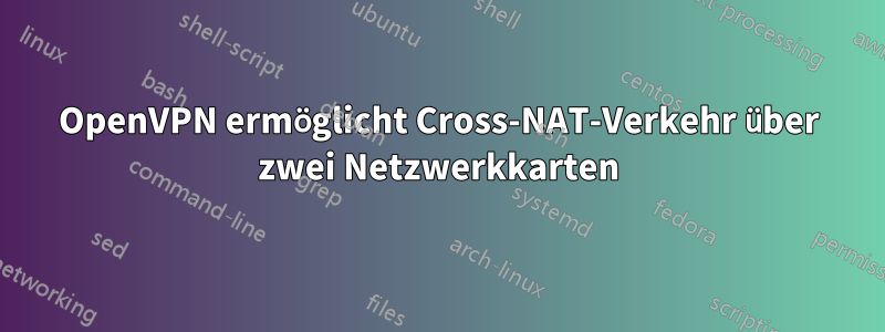 OpenVPN ermöglicht Cross-NAT-Verkehr über zwei Netzwerkkarten