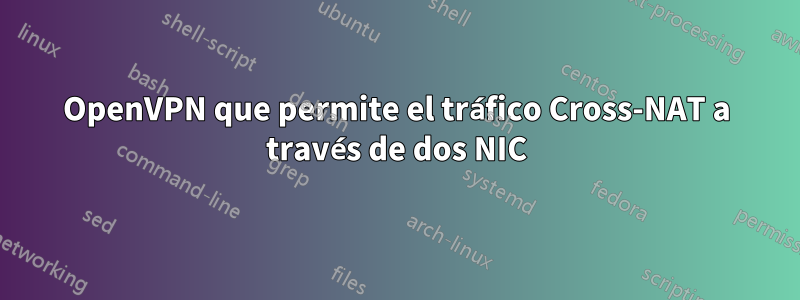 OpenVPN que permite el tráfico Cross-NAT a través de dos NIC