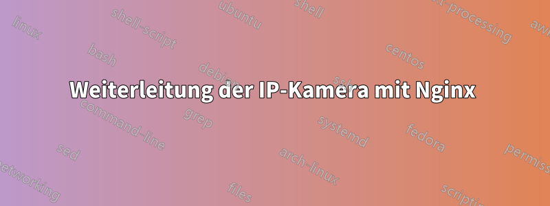 Weiterleitung der IP-Kamera mit Nginx