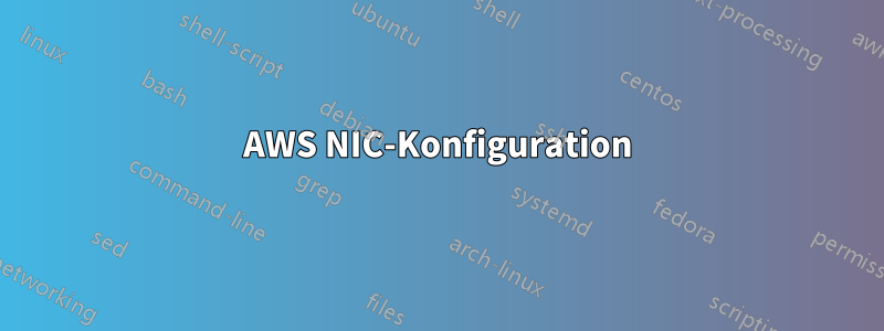 AWS NIC-Konfiguration