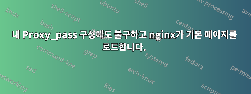 내 Proxy_pass 구성에도 불구하고 nginx가 기본 페이지를 로드합니다.