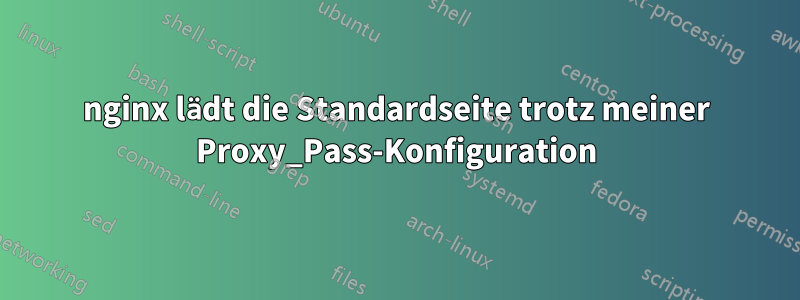 nginx lädt die Standardseite trotz meiner Proxy_Pass-Konfiguration