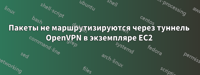 Пакеты не маршрутизируются через туннель OpenVPN в экземпляре EC2