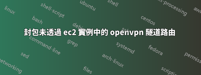 封包未透過 ec2 實例中的 openvpn 隧道路由