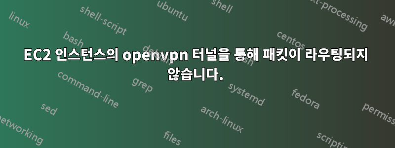 EC2 인스턴스의 openvpn 터널을 통해 패킷이 라우팅되지 않습니다.