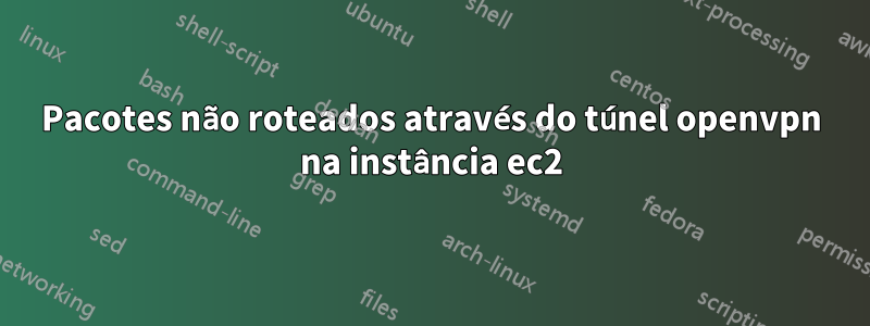 Pacotes não roteados através do túnel openvpn na instância ec2