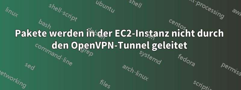 Pakete werden in der EC2-Instanz nicht durch den OpenVPN-Tunnel geleitet