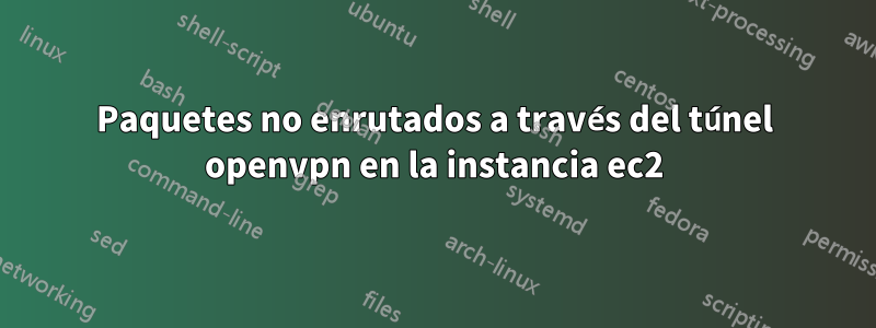 Paquetes no enrutados a través del túnel openvpn en la instancia ec2