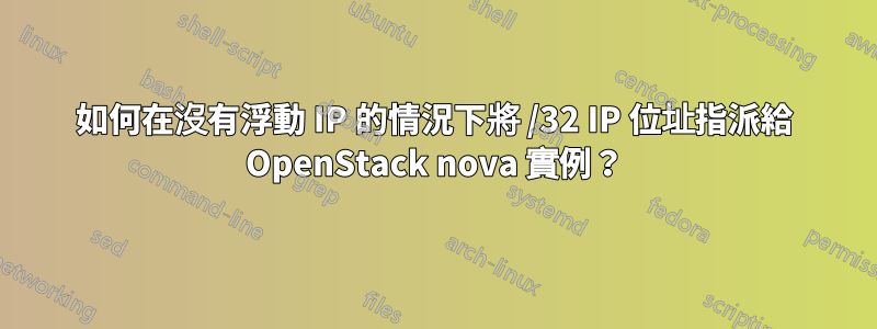 如何在沒有浮動 IP 的情況下將 /32 IP 位址指派給 OpenStack nova 實例？