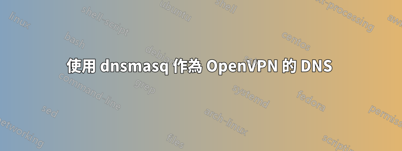 使用 dnsmasq 作為 OpenVPN 的 DNS