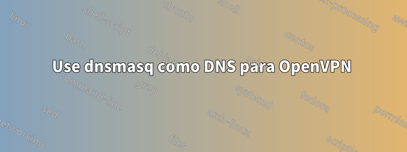 Use dnsmasq como DNS para OpenVPN