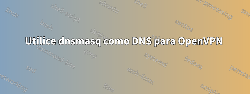 Utilice dnsmasq como DNS para OpenVPN